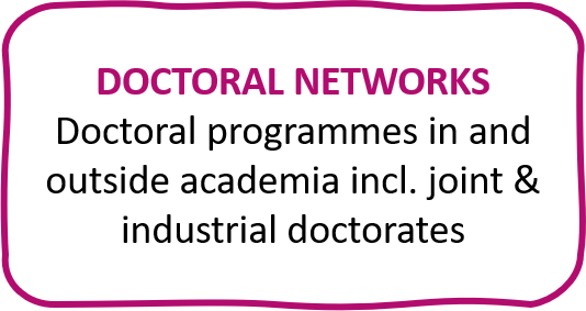doctoral networks